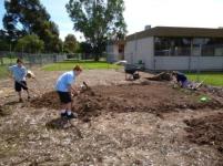 Year 7 student volunteers digging up garden beds