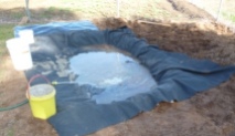 a local business donated this very heavy-duty pond liner. In order to protect it from any sharp objects in the soil we lined the hole with thick builders plastic, followed by several polyester underlays. Might be a bit of an overkill, but... Heavy buckets with sand hold the liner in place as the weight of water molds it to the shape of the hole.