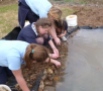 we decided to create a pebble beach around the shallow end . Year 7 girls insisted on placing every stone by hand in it's precise spot.