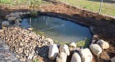 we started in May. By the end of June the pond looked like this