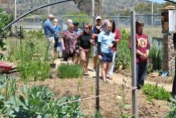 students showing the garden to the visitors